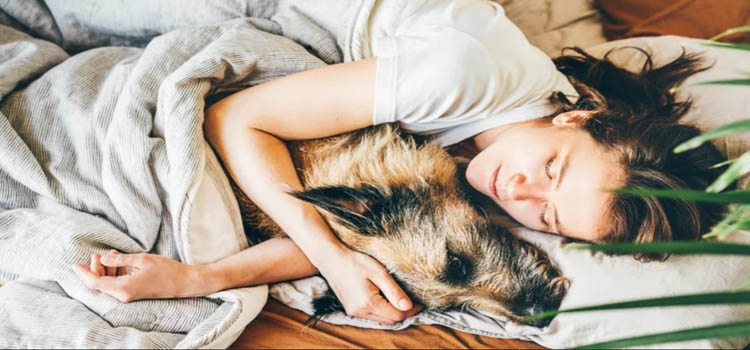 Dog Sleeps With You