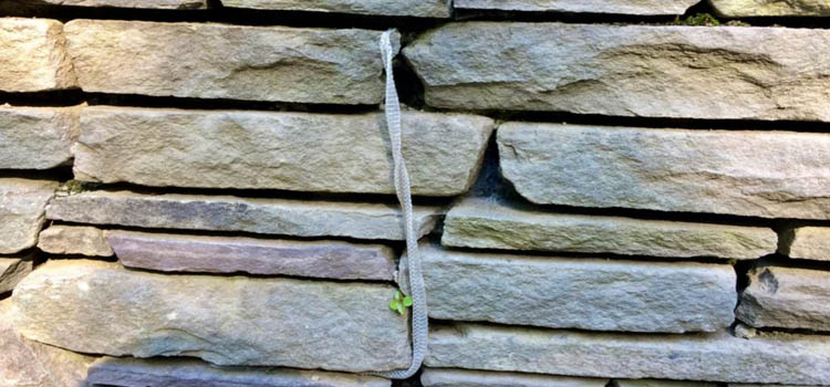 Attract Snakes 
